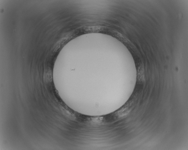 X0000073950474200609181405