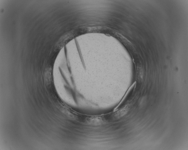 X0000073950475200609181405