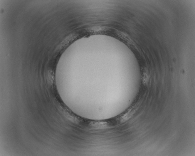 X0000073950476200609181406