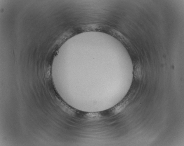 X0000073950477200609181406