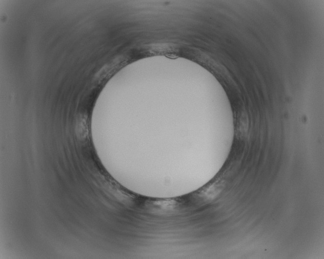 X0000073950478200609181406