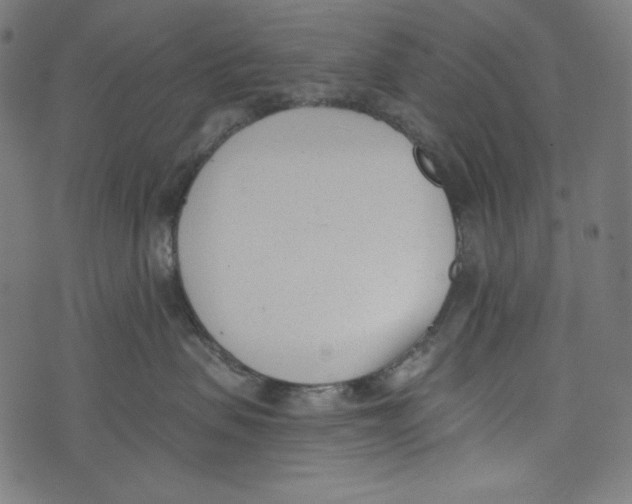 X0000073950479200609181406