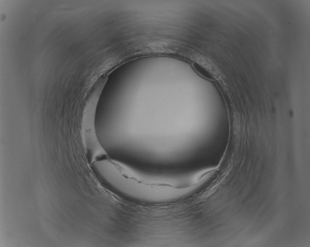 X0000073950481200609181405