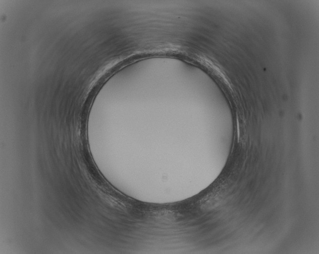 X0000073950483200609181405