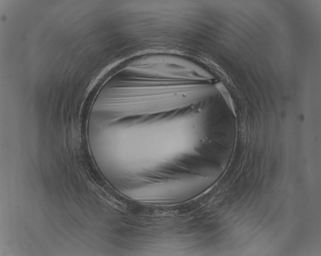 X0000073950484200609181405