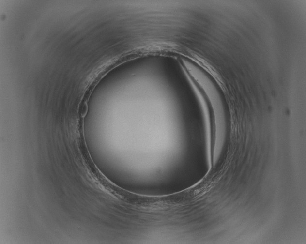 X0000073950485200609181405