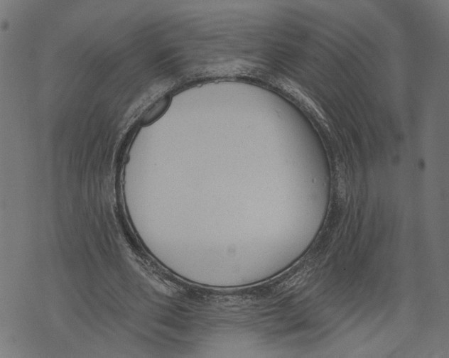 X0000073950486200609181405