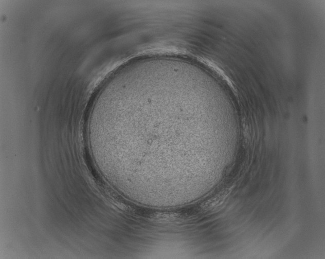 X0000073950487200609181405