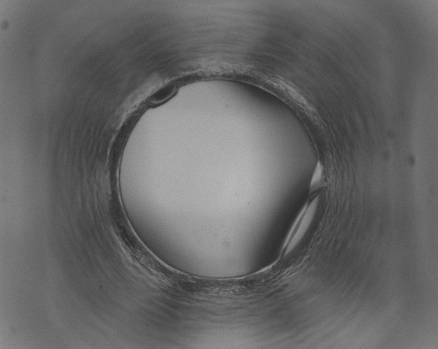 X0000073950488200609181405