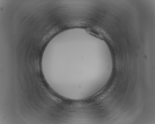 X0000073950489200609181405