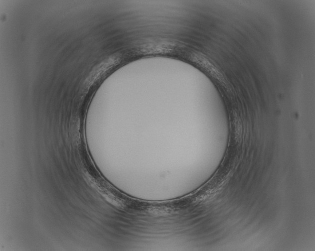 X0000073950490200609181405