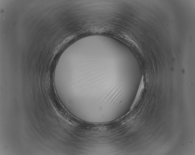 X0000073950492200609181405