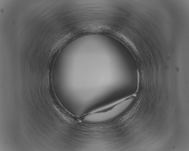 X0000073950493200609181405