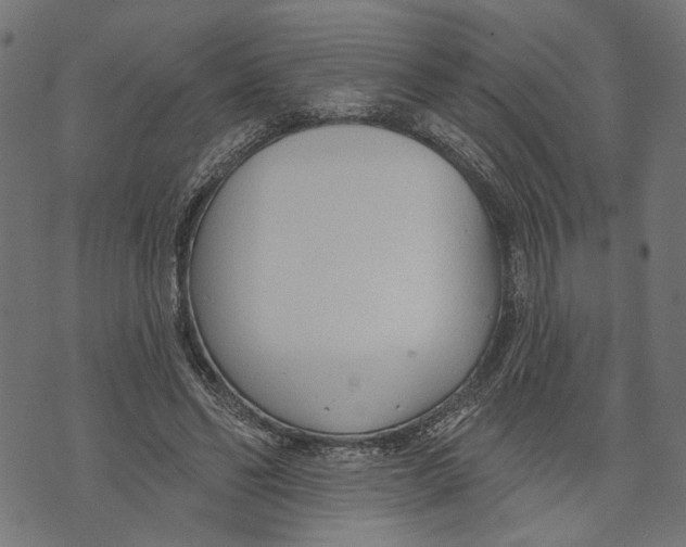 X0000073950494200609181405