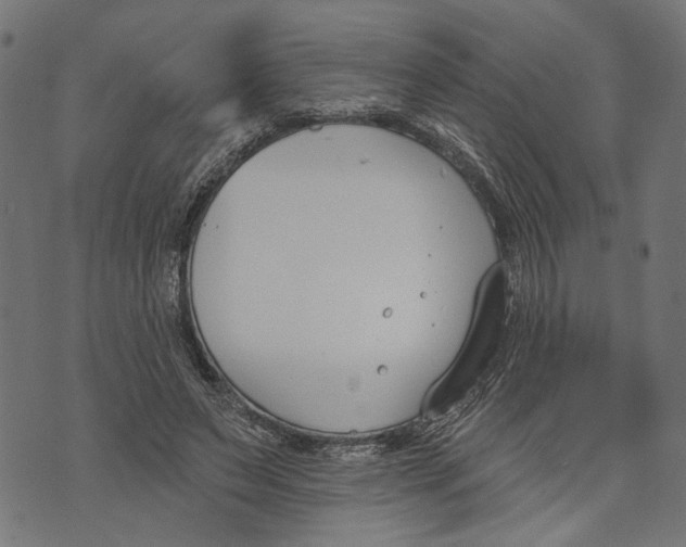 X0000073950495200609181405