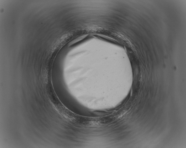 X0000073950496200609181405