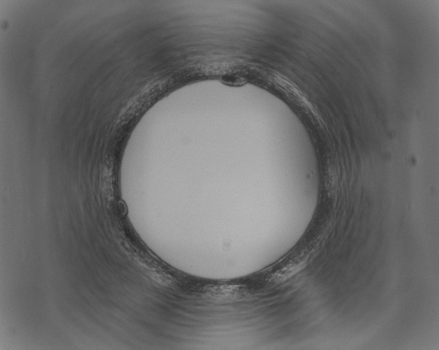 X0000073950497200609181405