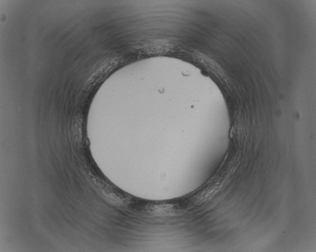 X0000073950501200609181404