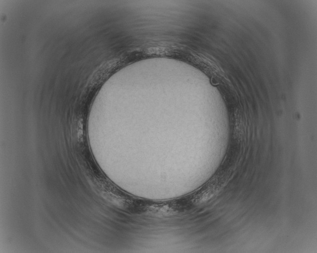 X0000073950502200609181404