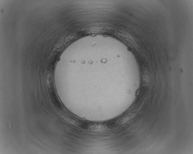 X0000073950503200609181404