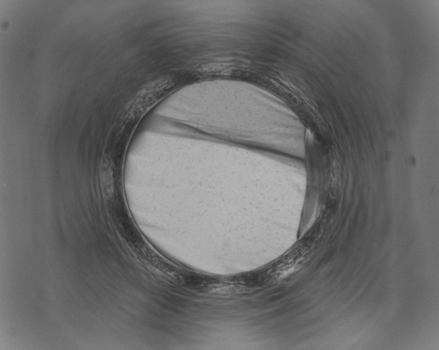 X0000073950504200609181404