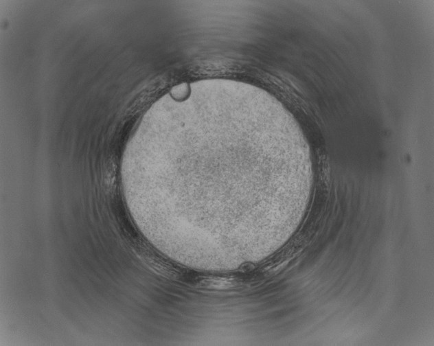 X0000073950507200609181404