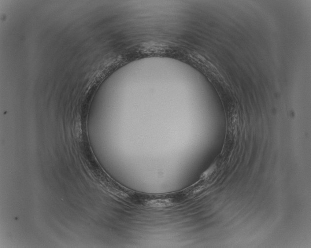 X0000073950508200609181404