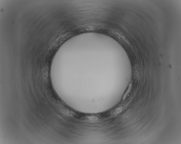 X0000073950509200609181404