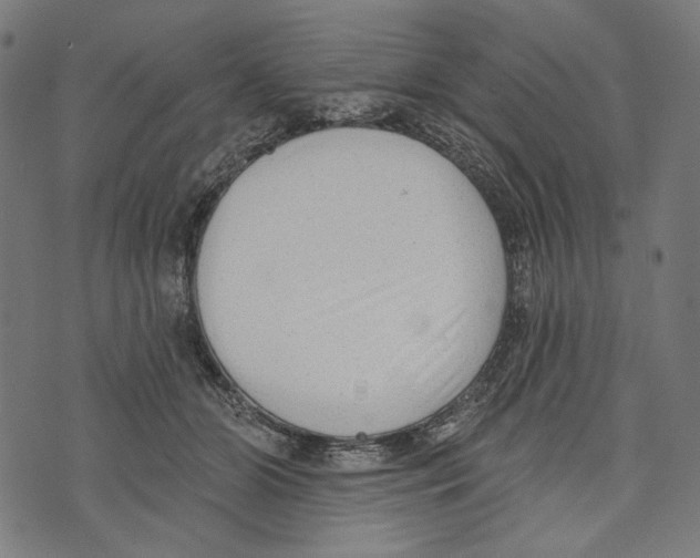 X0000073950510200609181404