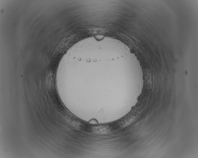 X0000073950511200609181404