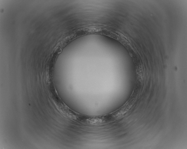 X0000073950512200609181404