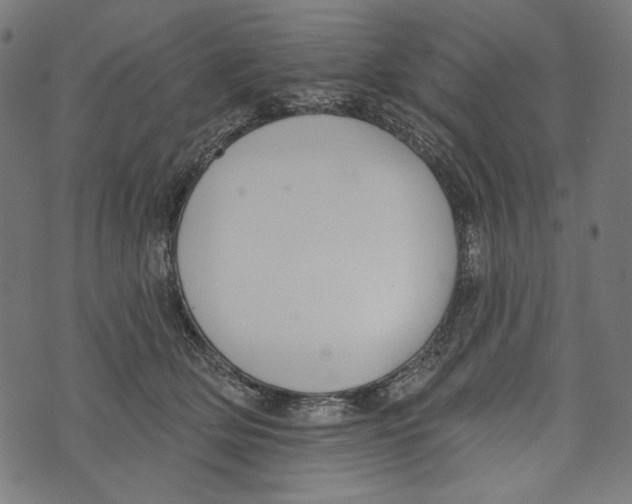 X0000073950514200609181404