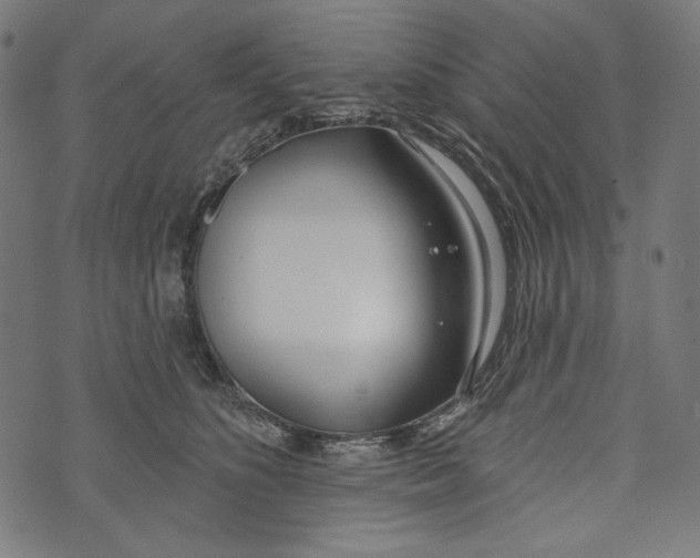 X0000073950516200609181404