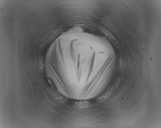 X0000073950517200609181404