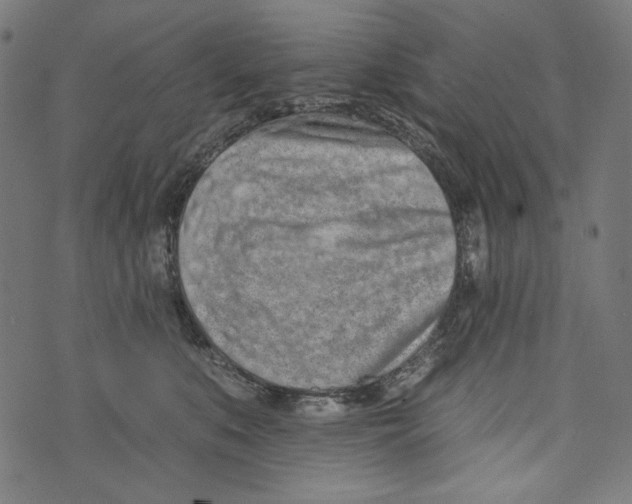 X0000073950519200609181404