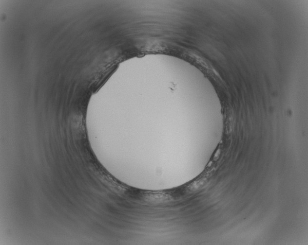 X0000073950521200609181404