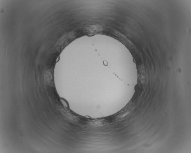 X0000073950523200609181404