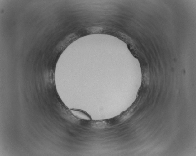 X0000073950525200609181404