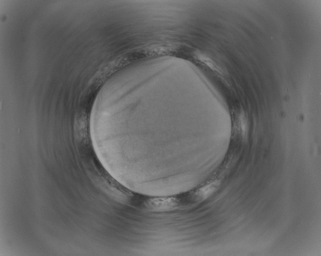 X0000073950526200609181404