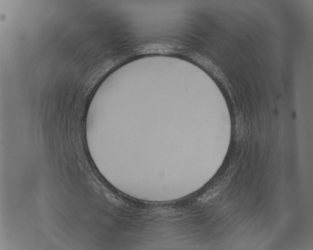 X0000073950529200609181403