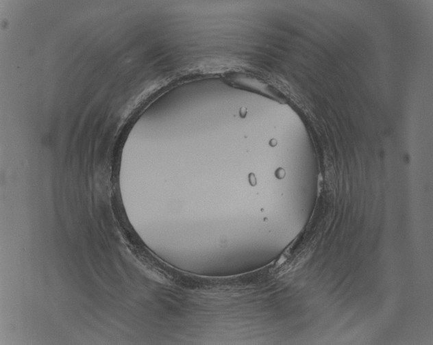 X0000073950530200609181403