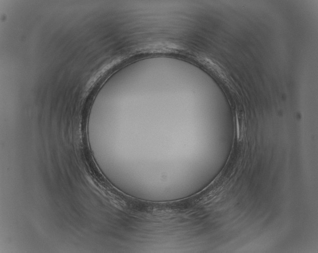 X0000073950531200609181403