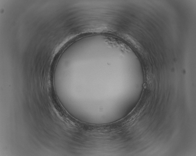 X0000073950532200609181403