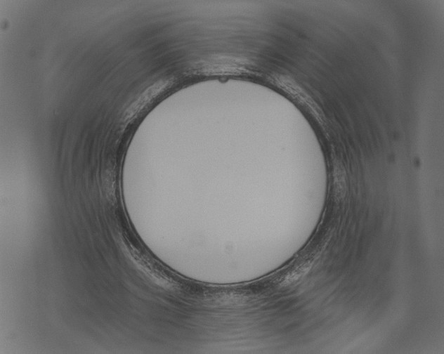 X0000073950533200609181403