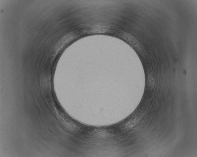 X0000073950534200609181403