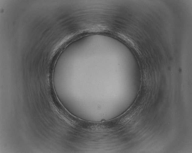 X0000073950535200609181403