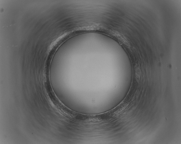 X0000073950536200609181403