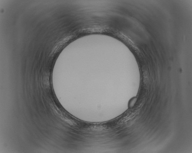 X0000073950537200609181403