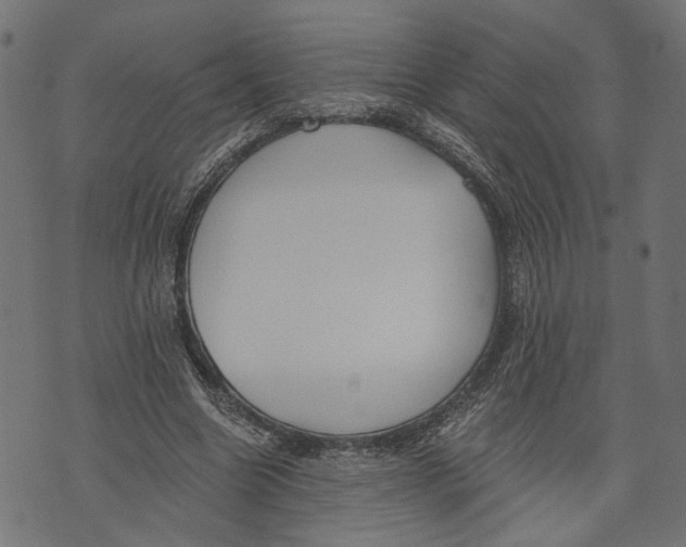 X0000073950538200609181403