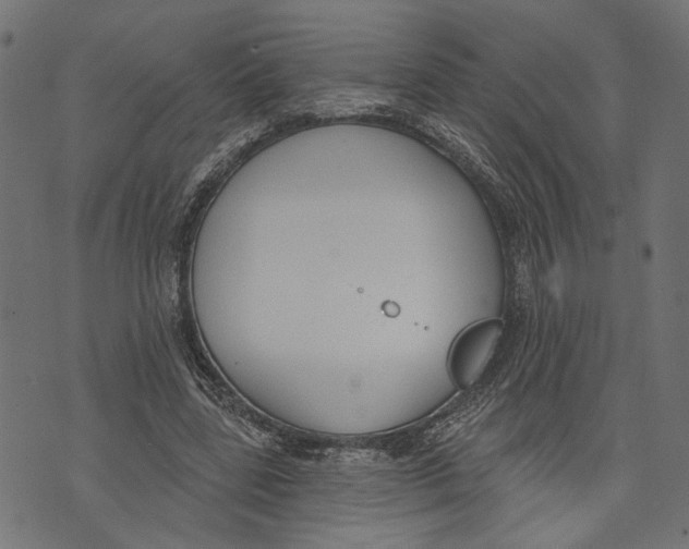 X0000073950539200609181403